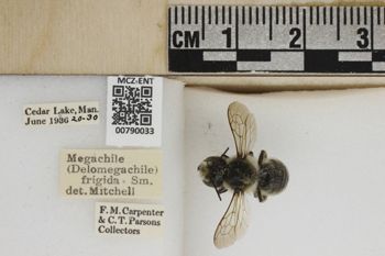 Media type: image;   Entomology 790033 Aspect: Labels